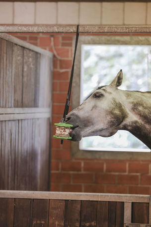 Kerbl Delizia szendvics és nyalókő tartó lovaknak