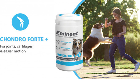 Eminent Chondro Forte+