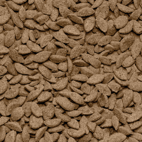 Beaphar Care+ csincsilla eledel