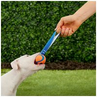 Chuckit! Ultra Tug strapabíro gumilabda hevederrel kutyáknak #6