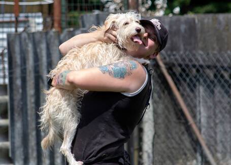 Aranyka, ivartalanított szuka kutyus