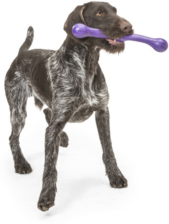 West Paw Zwig apport