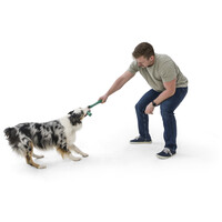 West Paw Seaflex Snorkl - Bumeráng és kötélhúzó játék #5