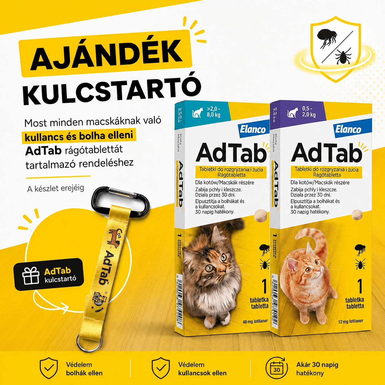 Adtab ajándék macskás gazdiknak