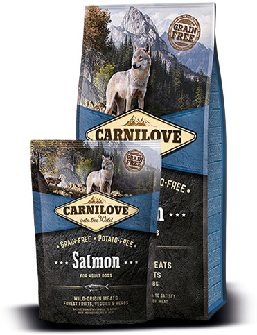 CarniLove Adult Salmon