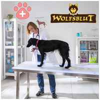 Wolfsblut VetLine Joint Care #2