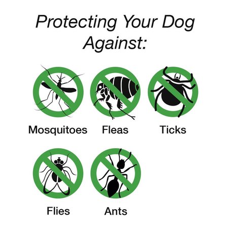 Scruffs Insect Shield Bandana - Rovarpajzs kutyakendő