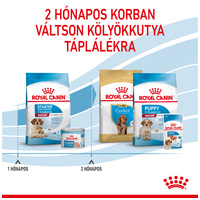 Royal Canin Medium Starter Mother & Babydog - Száraz táp közepes testű vemhes szuka és kölyök kutya részére 2 hónapos korig #6