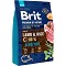 Brit Premium Sensitive Lamb & Rice