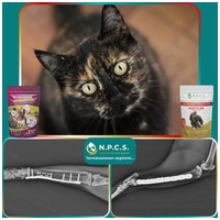 Burgimmune immunerősítő por #14