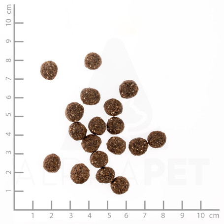 Belcando Finest Grain-Free Lamb | Táp válogatós, gabonára érzékeny kutyáknak | Kis- és közepes testméretű fajtáknak