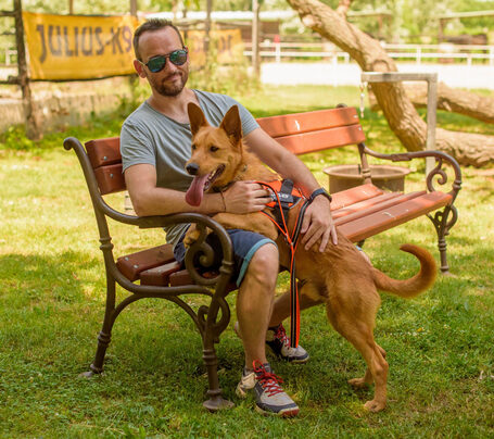 Titusz, 1 éves, 50 cm magas, kan