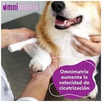 Omnimatrix sebfertőtlenítő krém a gyors sebgyógyulásért #6