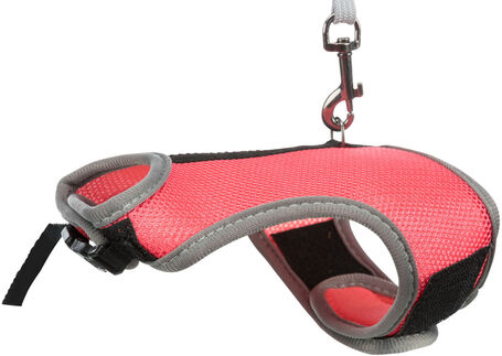 Trixie Soft Soft strapabíró hám és póráz rágcsálóknak, nyúlnak