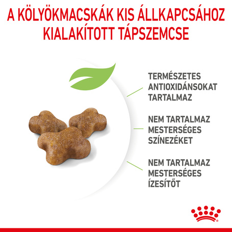 Royal Canin Kitten - Kölyök macska száraz táp