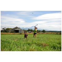 Chuckit! Whistler Balls - Fütyülős labdák kutyáknak #7