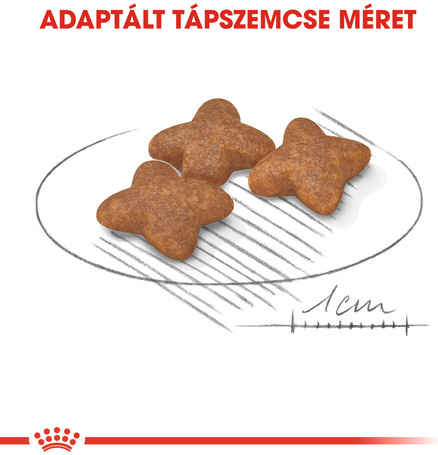 Royal Canin Mini Adult - Kistestű felnőtt kutya száraz táp