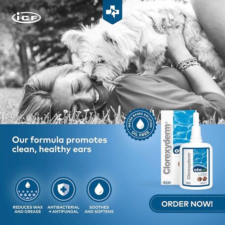 Clorexyderm Oto fültisztító oldat kutyáknak és macskáknak