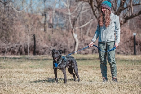 Ábel, 4 éves, 55 cm magas, kan