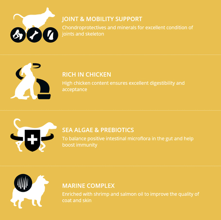 Profine Adult Large Chicken & Potatoes | Táp nagytestű kutyáknak csirkével és burgonyával