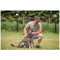 Kópé, 5 éves, 50 cm magas, kan #6