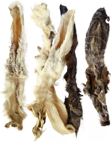 Farkaskonyha szárított szőrös nyúlfül