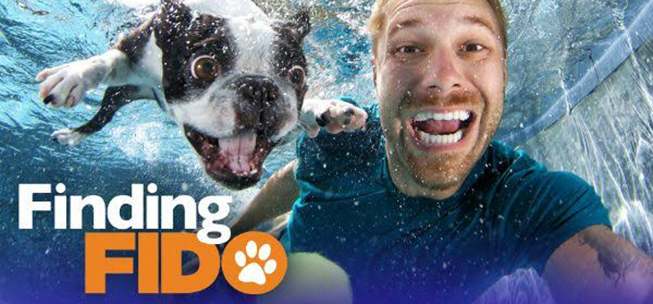 Seth Casteel Finding Fido Seth Casteel Finding Fido