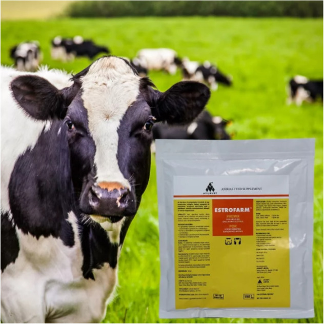 Estrofarm – premix pentru inducerea estrului, fără hormoni - zoom