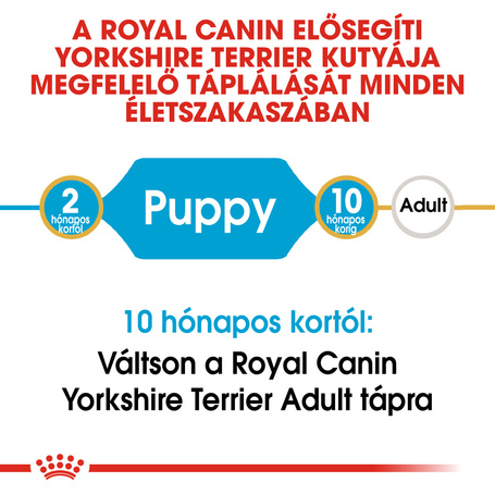 Royal Canin Yorkshire Terrier Junior - Yorkshire Terrier kölyök kutya száraz táp