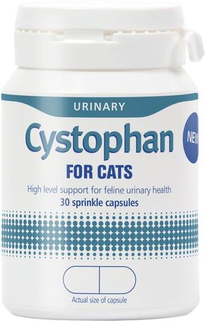 Protexin Cystophan kapszula húgyúti problémákra macskáknak