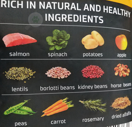 Julius-K9 GF Hypoallergenic Adult Salmon & Spinach