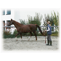 Kerbl Softlonge futószár #5