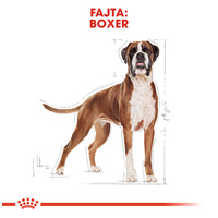 Royal Canin Boxer Adult - Boxer felnőtt kutya száraz táp #2