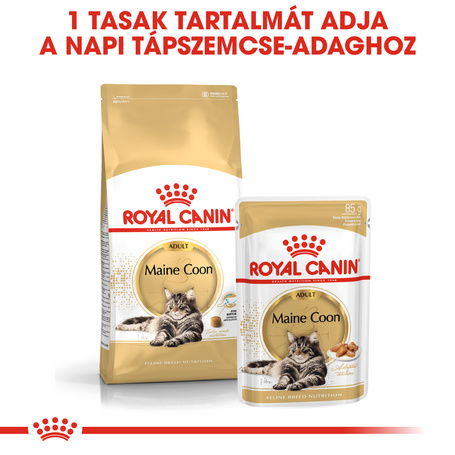 Royal Canin Maine Coon Adult - Maine Coon felnőtt macska nedves táp