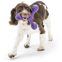 West Paw Skamp - Apport kutyajáték #3