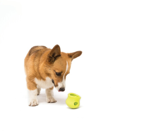 West Paw Toppl - Jutalomfalattal tölthető kutyajáték