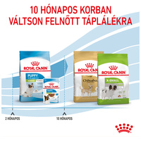 Royal Canin X-Small Puppy - Nagyon kistestű kölyök kutya száraz táp #3