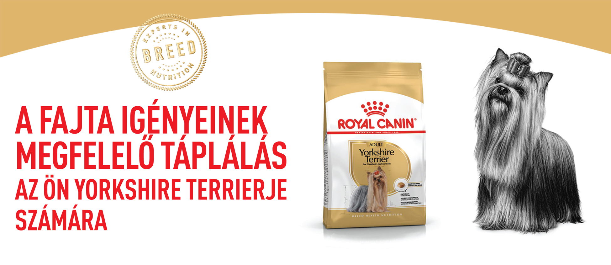 Royal Canin Yorkshire Terrier Adult - Yorkshire Terrier felnőtt kutya száraz táp