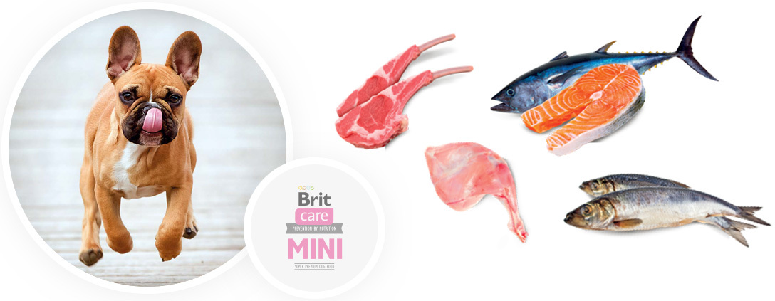 Brit Care Mini Grain Free összetevők