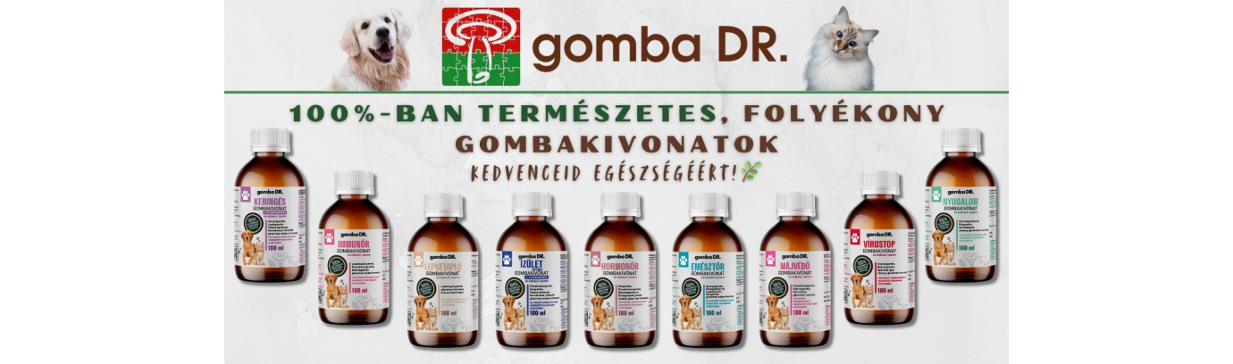Bemutatkoznak a Gomba Dr. folyékony gyógygomba kivonatok