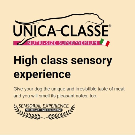 Unica Classe Adult Lamb (Equilibrium)