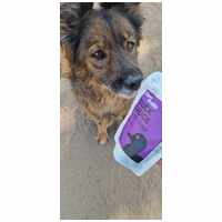 Food Studio Free Range Duck Sauce with Liver & Carrot #10