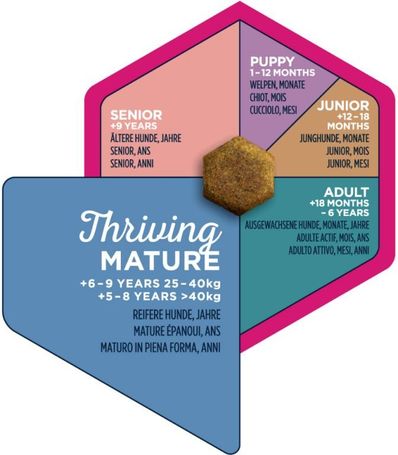 Eukanuba Senior Large | Nagytestű idős kutyáknak készült kutyatáp