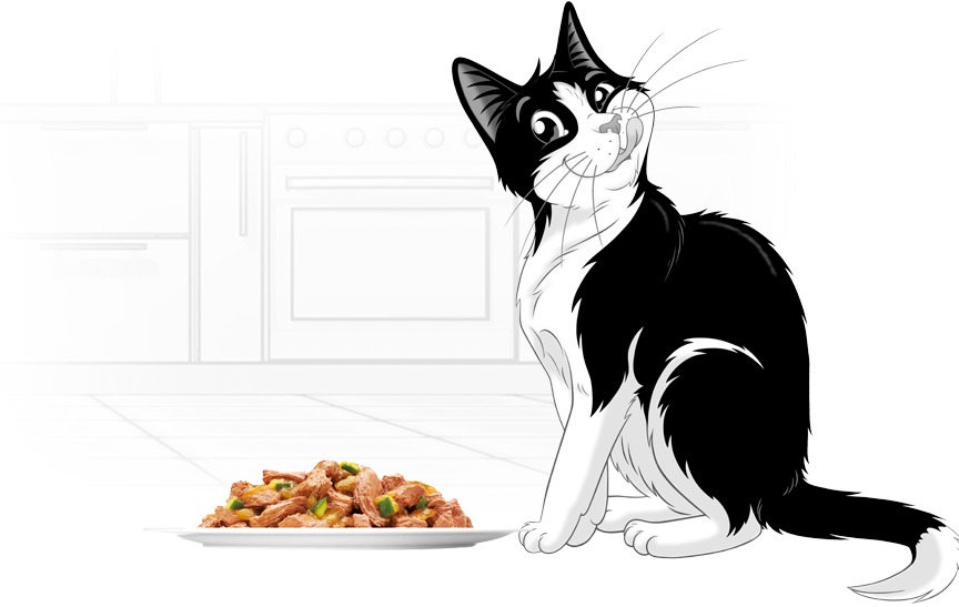Felix Tasty Shreds selecție artizanală - Bucățele de carne de vită, pui, somon și ton în sos pentru pisici - Multipack - zoom