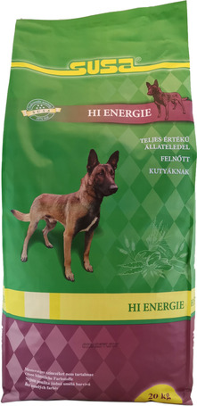 Susa HI Energie