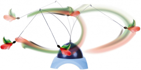 Trixie Catch Me cicajáték