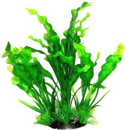 Akváriumi palás műnövény hosszú hullámos levelekkel
