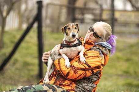 Jack, 7 éves, 42 cm magas, Jack Russell-terrier kan