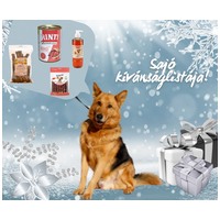 Sajó, 7 éves ivartalanított németjuhász keverék kan #10