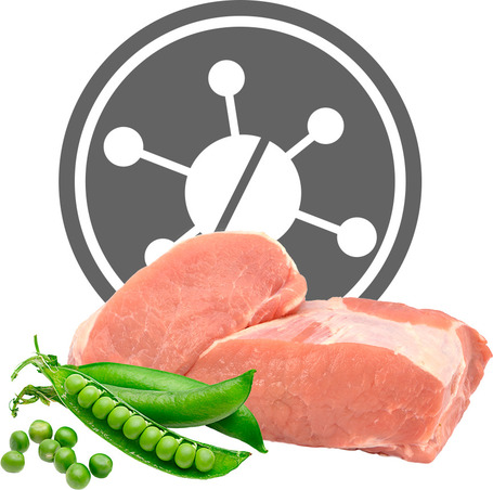 Exclusion Dog Hypoallergenic Pork & Pea Adult Medium & Large